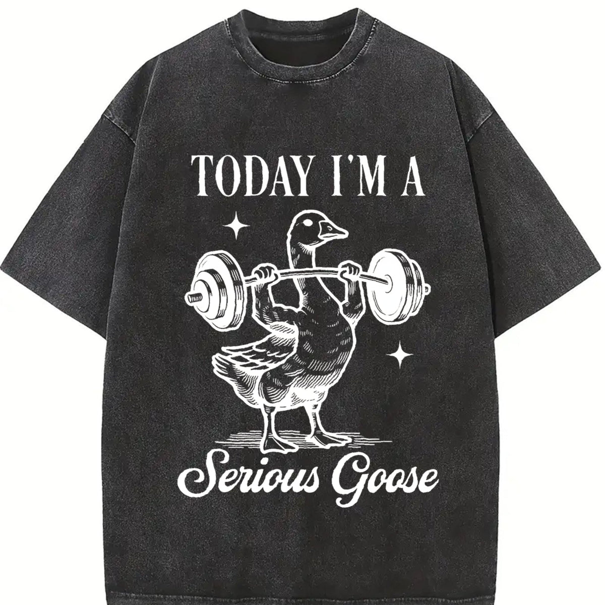 Today I Am Serious Goose Vintage Washed T-Shirt product image 2