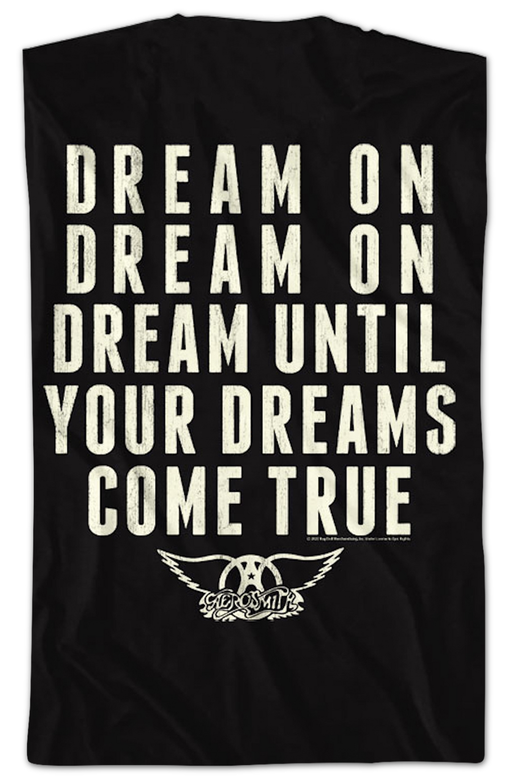Front & Back Dream Until Your Dreams Come True Aerosmith product image 2