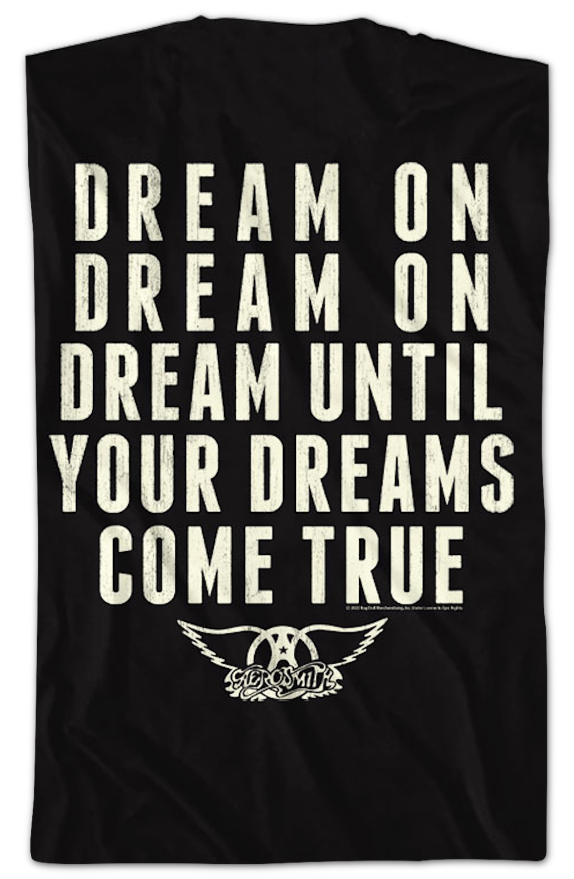 Front & Back Dream Until Your Dreams Come True Aerosmith product image 2