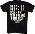 Front & Back Dream Until Your Dreams Come True Aerosmith product image 1