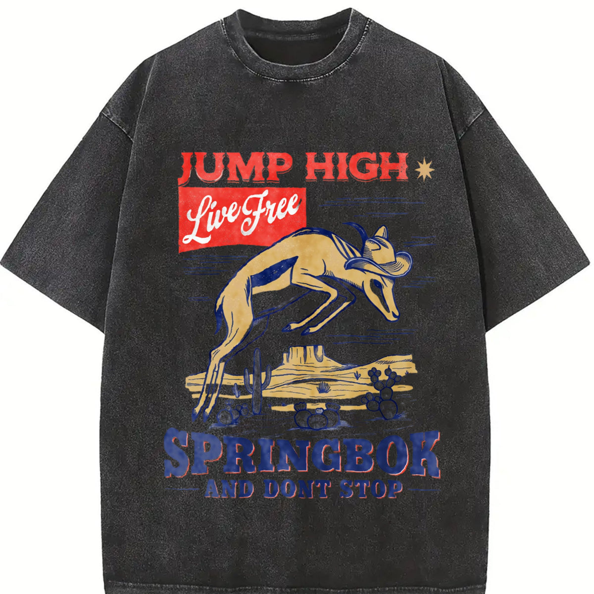 Springbok Western 90s Vintage Washed T-Shirt product image 2