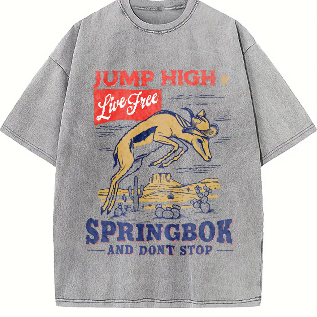 Springbok Western 90s Vintage Washed T-Shirt product image 5