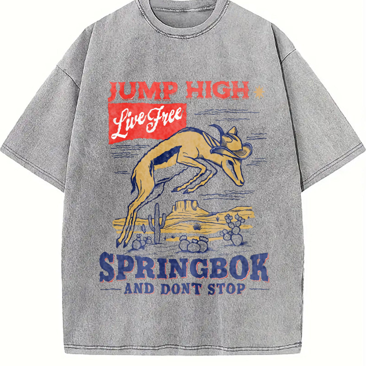 Springbok Western 90s Vintage Washed T-Shirt product image 5