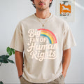 Big Fan Of Human Rights - Rainbow Vintage Washed T-Shirt product image 1
