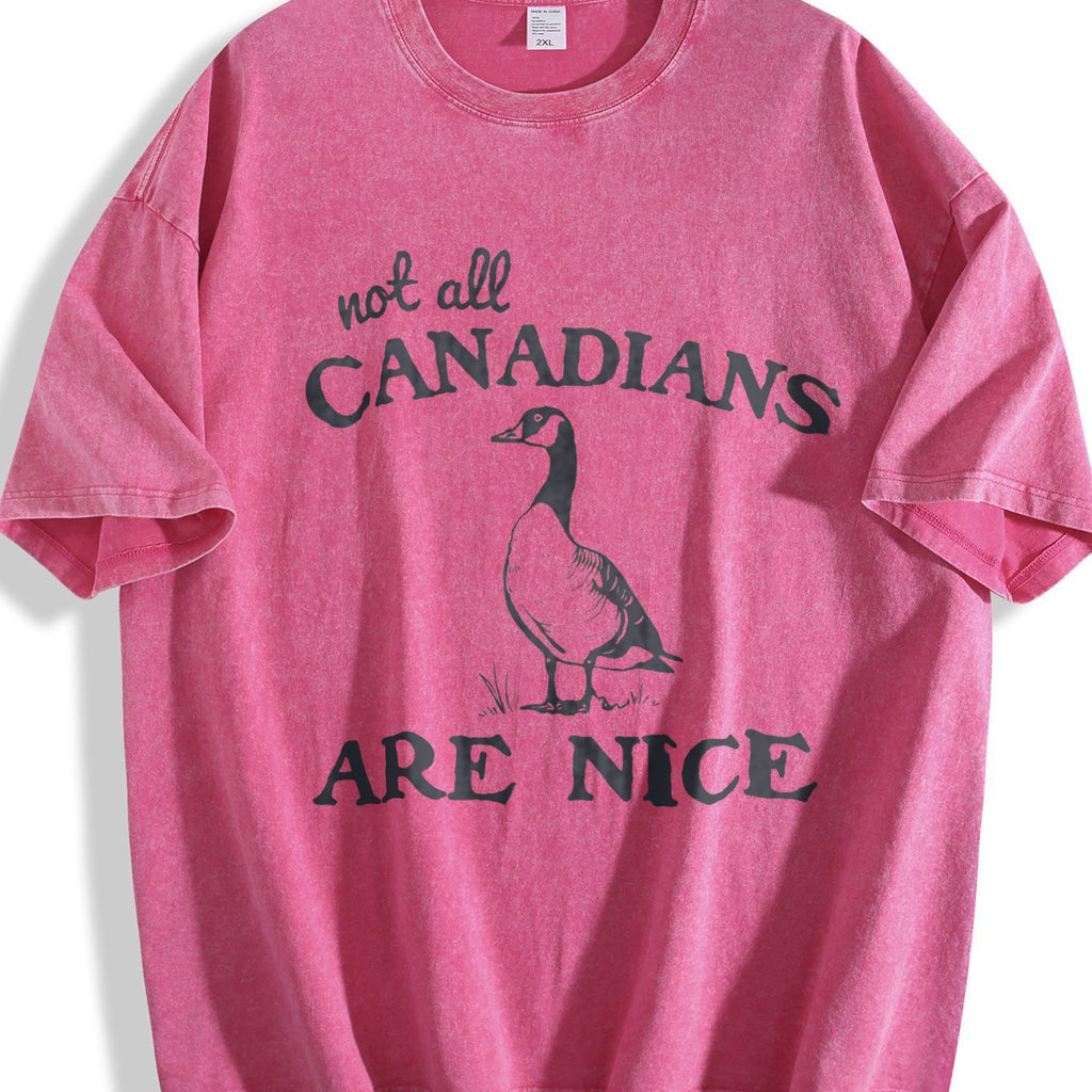 Canadian Goose Summer Vintage Washed T-Shirt product image 7
