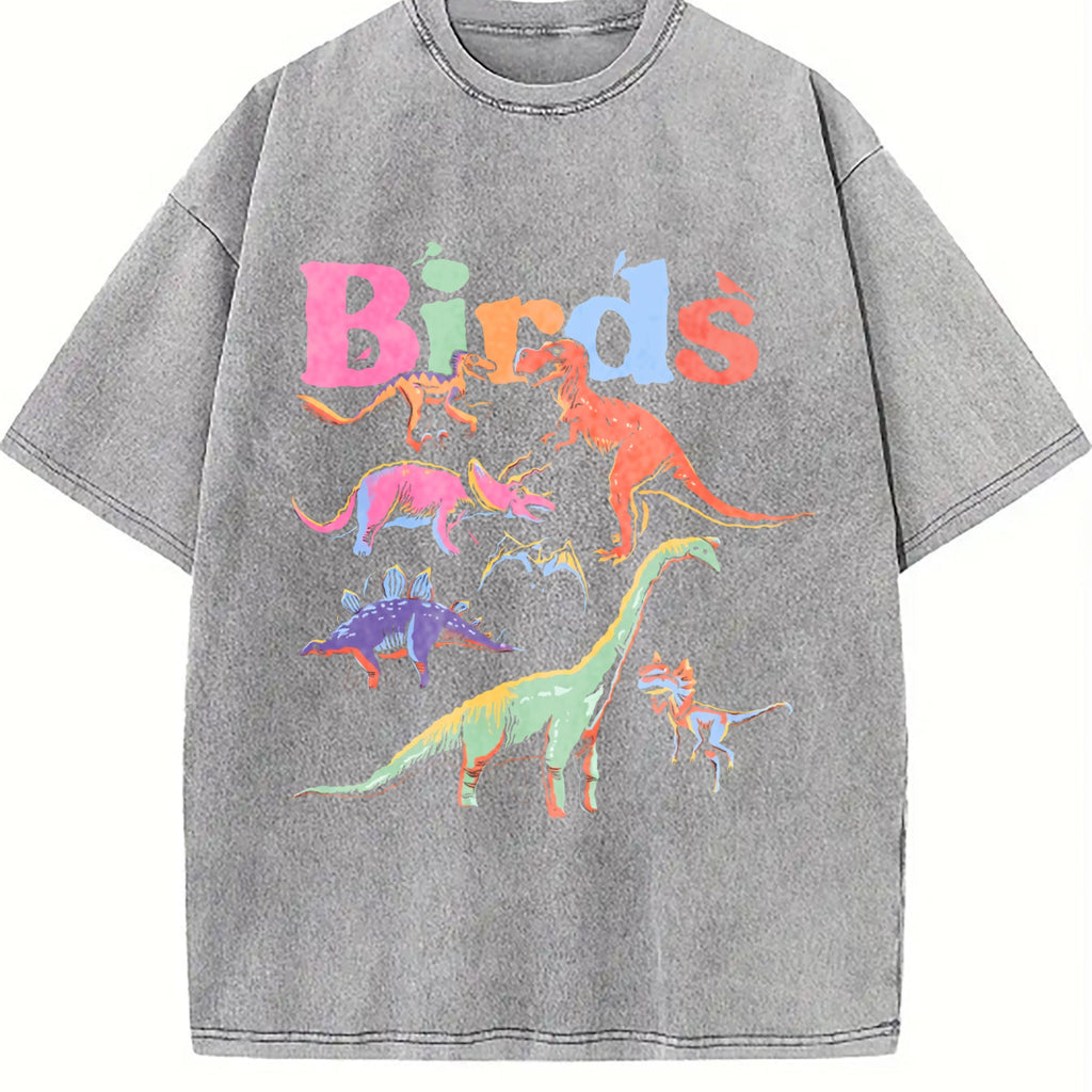 Dinosaur - Black With Prehistoric & Birds Vintage Washed product image 4