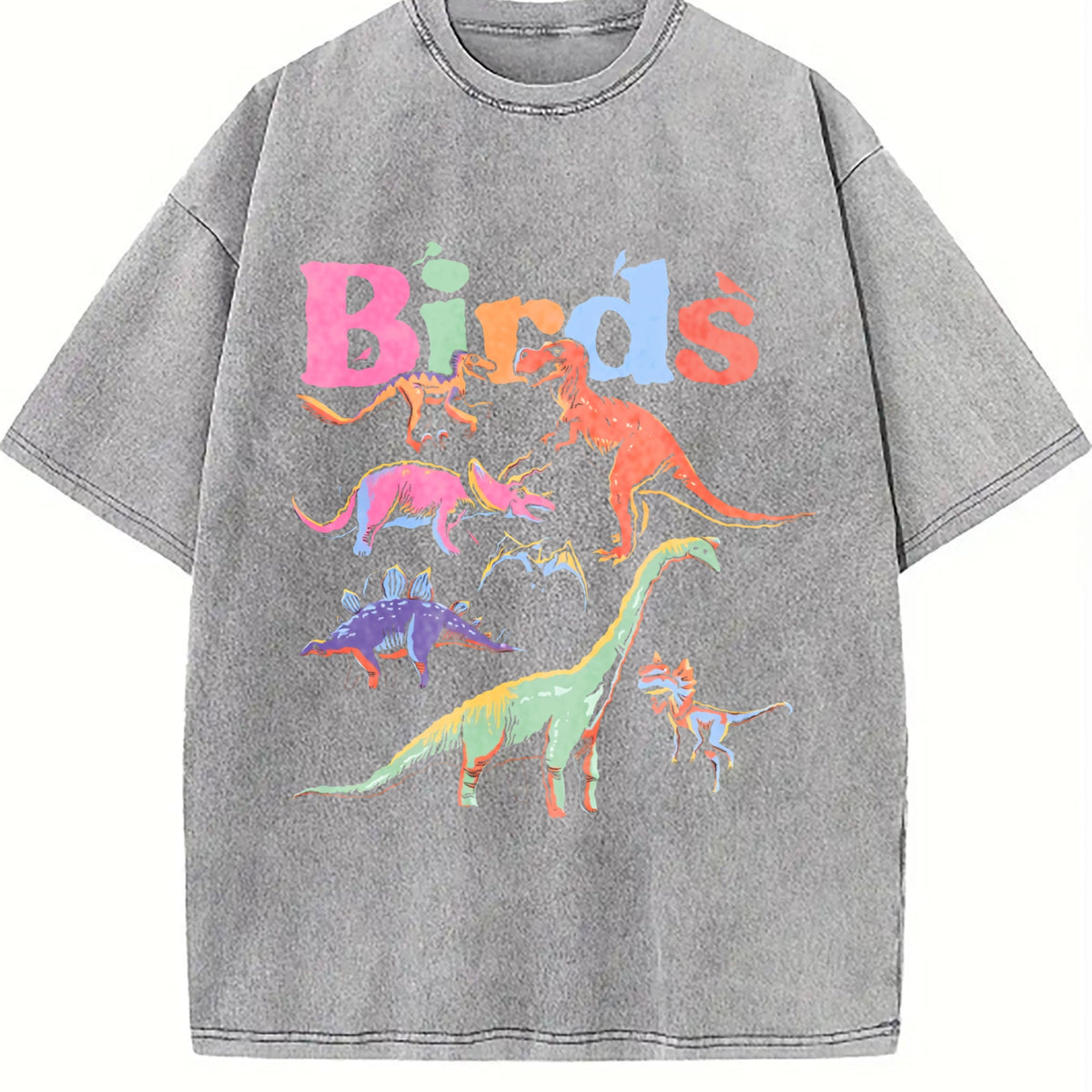 Dinosaur - Black With Prehistoric & Birds Vintage Washed product image 4