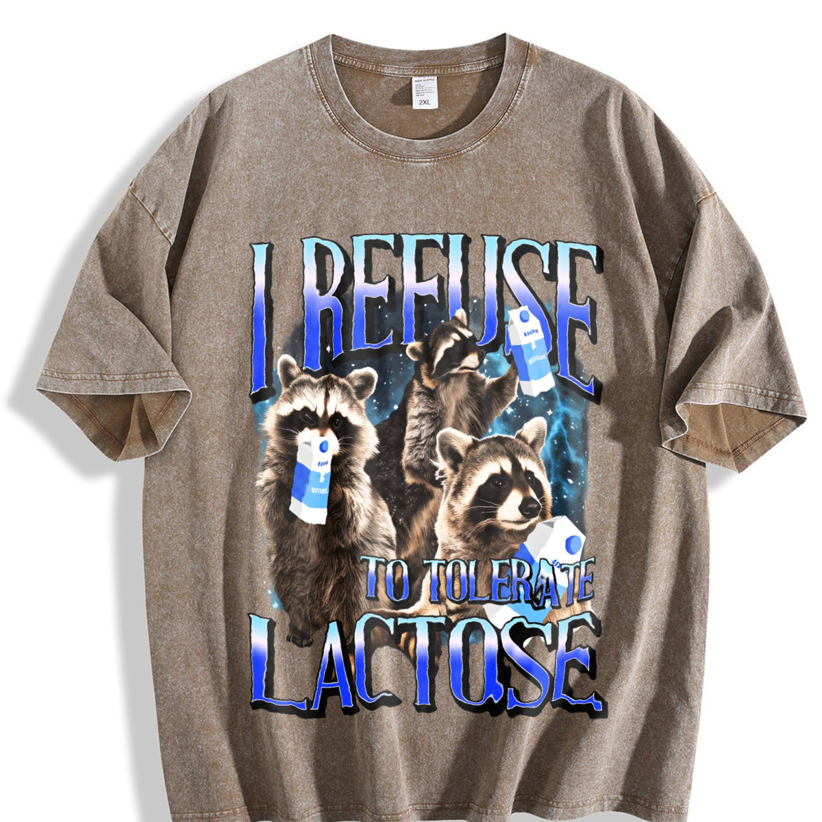 I Refuse To Tolerate Lactose Vintage Washed T-Shirt product image 3
