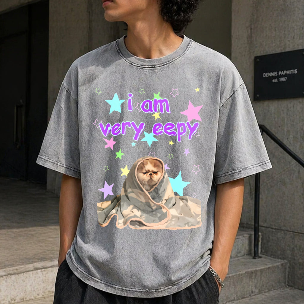 Eepy Cat Funny Vintage Washed T-Shirt product image 5